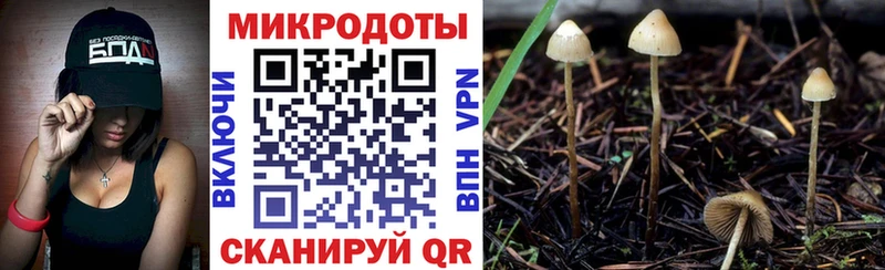 Галлюциногенные грибы MAGIC MUSHROOMS  Артёмовский 