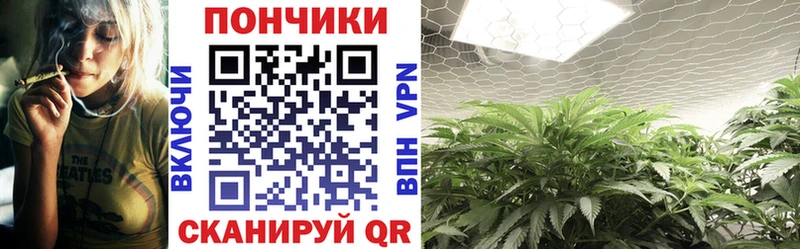 Бошки Шишки сатива Артёмовский